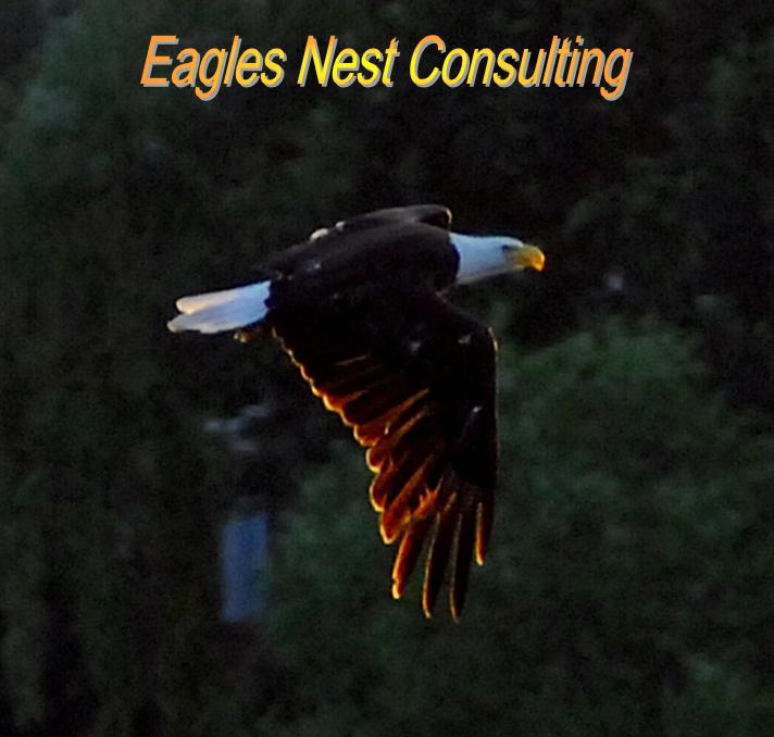 Eagles Nest Consulting